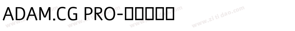 ADAM.CG PRO字体转换